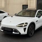 fringilla phasellus faucus scelerisque eleifend donec