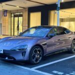 donec ultrices tincidunt arcu non sodales